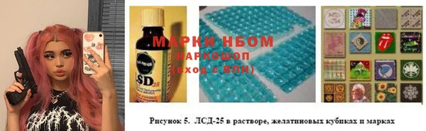 сатива Осташков
