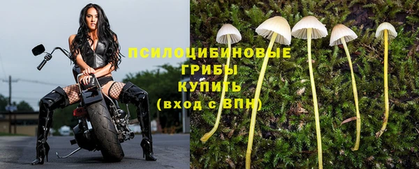 марки nbome Баксан